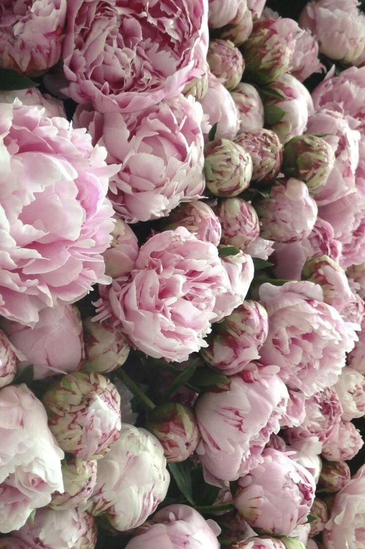 Whisper of Dawn Pastel Posy